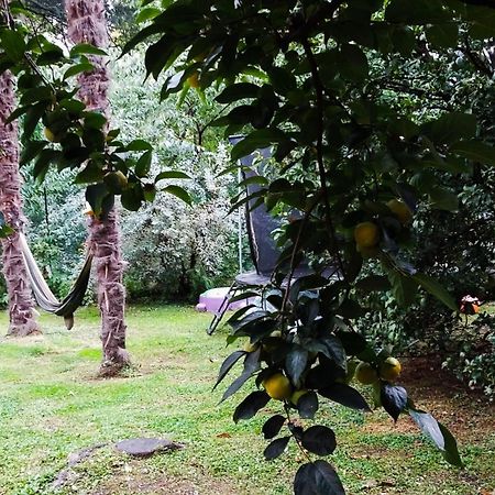 Adda River Casa Vacanza Calolziocorte Εξωτερικό φωτογραφία